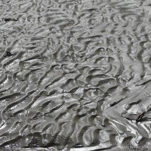 Glistening texture of wet sand on the seashore