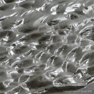 Glistening texture of wet sand on the seashore