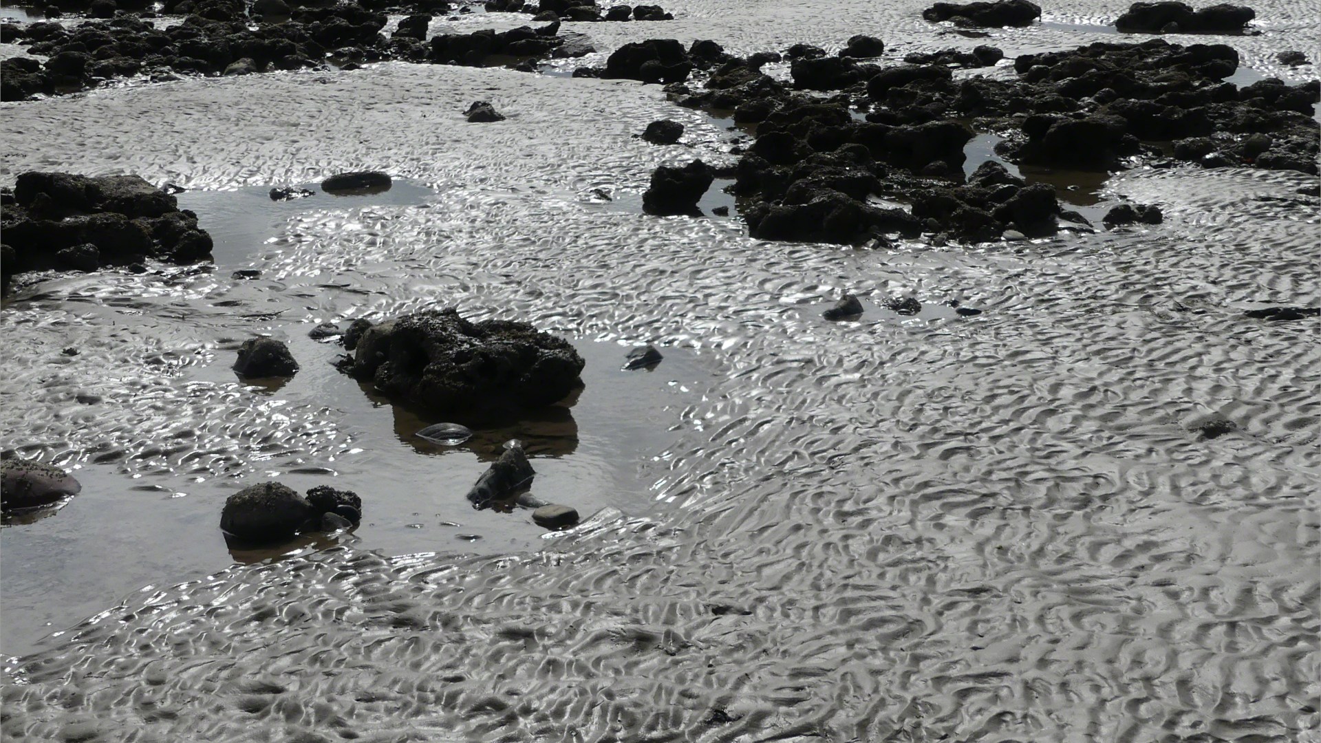 Context shot for images of glistening texture of wet sand on the seashore