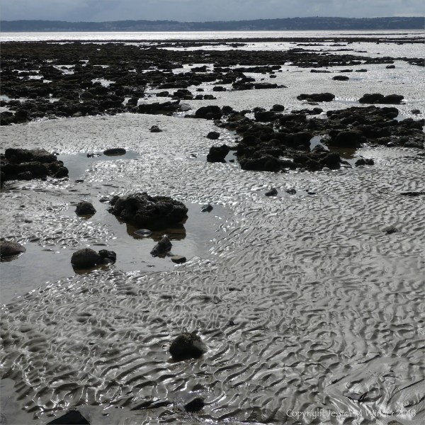 Context shot for images of glistening texture of wet sand on the seashore
