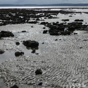 Context shot for images of glistening texture of wet sand on the seashore