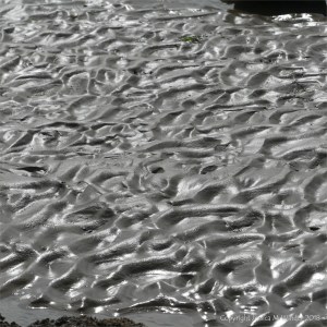 Glistening texture of wet sand on the seashore