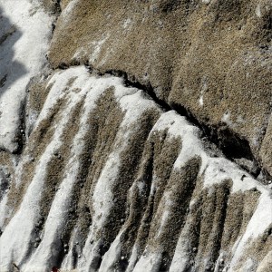 Erosion patterns on sedimentary rocks covered by barnacles