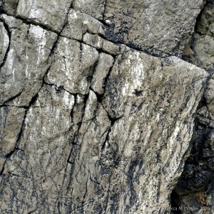 Cracks in limestone with black lichen