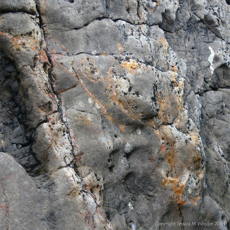 Detail of water-worn Carboniferous limestone