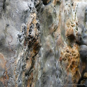 Detail of water-worn limestone