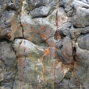Texture and colour of limestone rock seashore outcrop