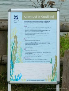 Notice about seaweed on the beach