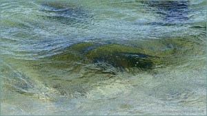 Translucent shallow wave