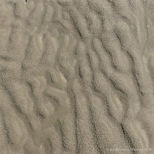 Sand texture and pattern on the beach