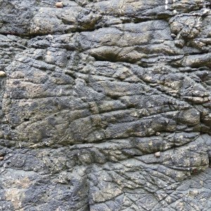Texture and colour of limestone rock seashore outcrop