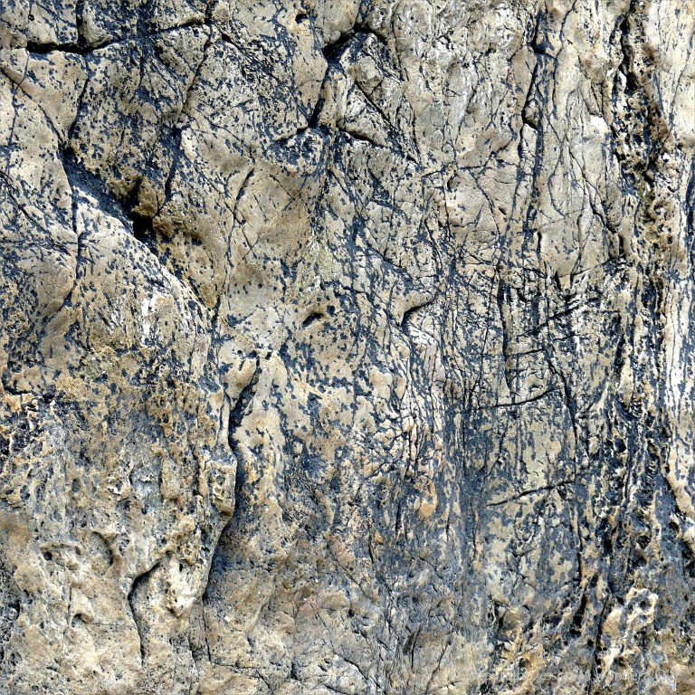 Lines of black lichen forming patterns on rock