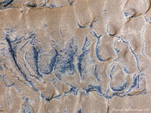 Natural patterns in the sand