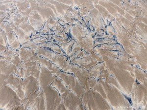 Natural patterns in the sand