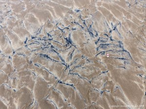 Natural patterns in the sand