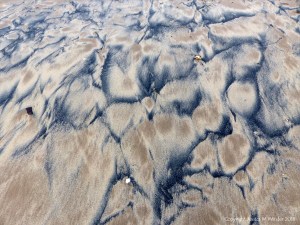 Natural patterns in the sand