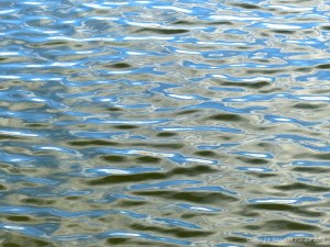 River surface water pattern and texture