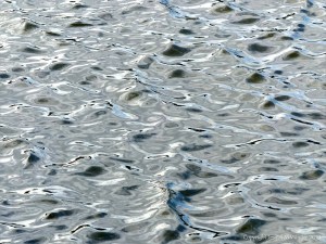 River surface water pattern and texture