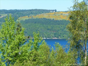 View of Loch Ness from the Farigaig Forest