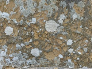 Texture and pattern in Devonian sedimentary rocks used for building stone walls on a over 2000 years ago