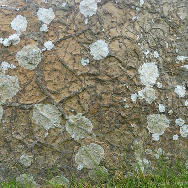 Texture and pattern in Devonian sedimentary rocks used for building stone walls on a over 2000 years ago