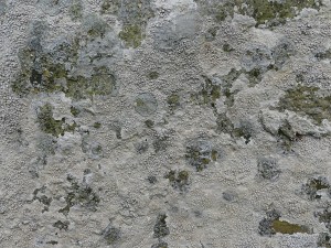 Texture and pattern in Devonian sedimentary rocks used for building stone walls on a over 2000 years ago