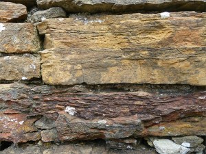 Texture and pattern in Devonian sedimentary rocks used for building stone walls on a over 2000 years ago