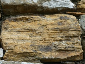 Texture and pattern in Devonian sedimentary rocks used for building stone walls on a over 2000 years ago