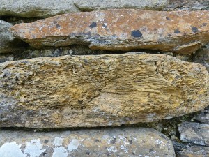 Texture and pattern in Devonian sedimentary rocks used for building stone walls on a over 2000 years ago