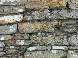 Texture and pattern in Devonian sedimentary rocks used for building stone walls on a over 2000 years ago