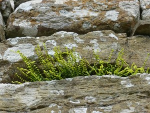 Ancient stones in early building constructions