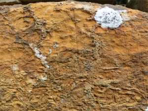 Ancient stones in early building constructions