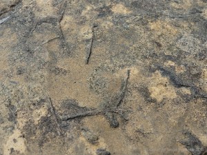 Ancient stones in early building constructions