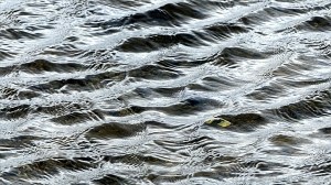 Natural river water surface texture and pattern