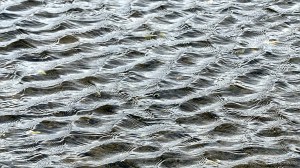 Natural river water surface texture and pattern