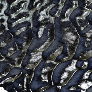Wet sand ripples