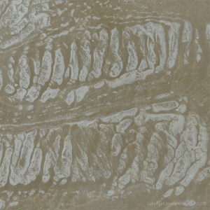 The sandy beach at low tide on Rhossili Bay