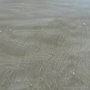 The sandy beach at low tide on Rhossili Bay