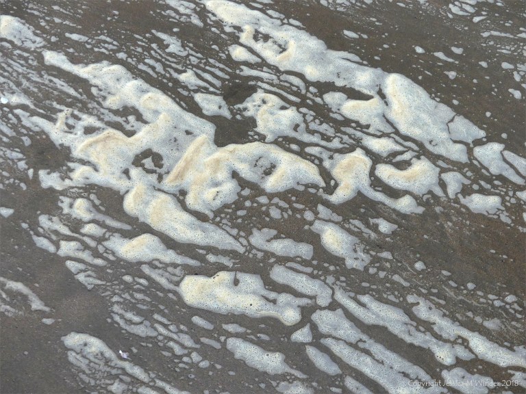 Natural patterns of sea foam on the beach