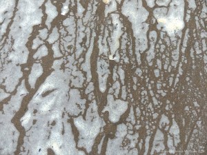 Natural patterns of sea foam on the beach