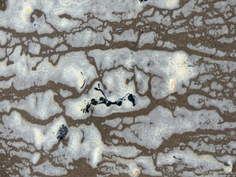 Natural patterns of sea foam on the beach