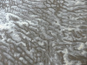 Natural patterns of sea foam on the beach