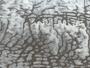 Natural patterns of sea foam on the beach
