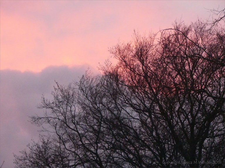 Early morning view from my window 13th December 2018