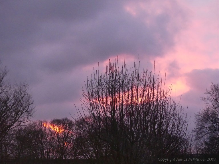 Early morning view from my window 13th December 2018