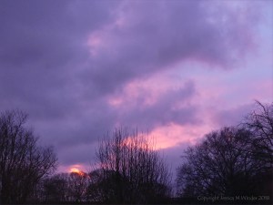 Early morning view from my window 13th December 2018