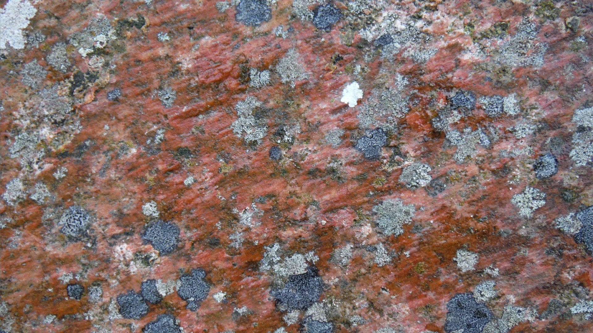 Natural pattern and colour on granite rock
