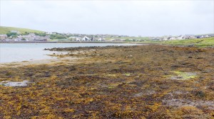 View from the eastern side of the Hamnavoe inlet