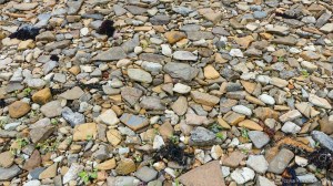 Stones on the seashore at Hamnavoe in Orkney