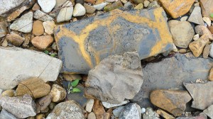 Stones on the seashore at Hamnavoe in Orkney
